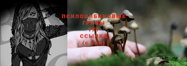 таблы Алзамай