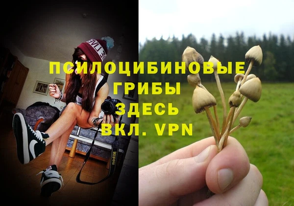 таблы Алзамай