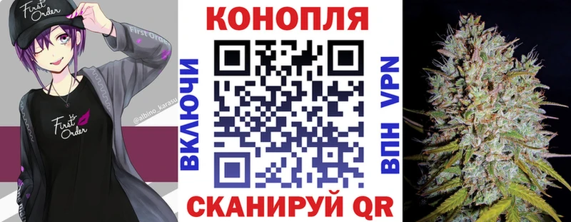 Бошки Шишки планчик Калтан